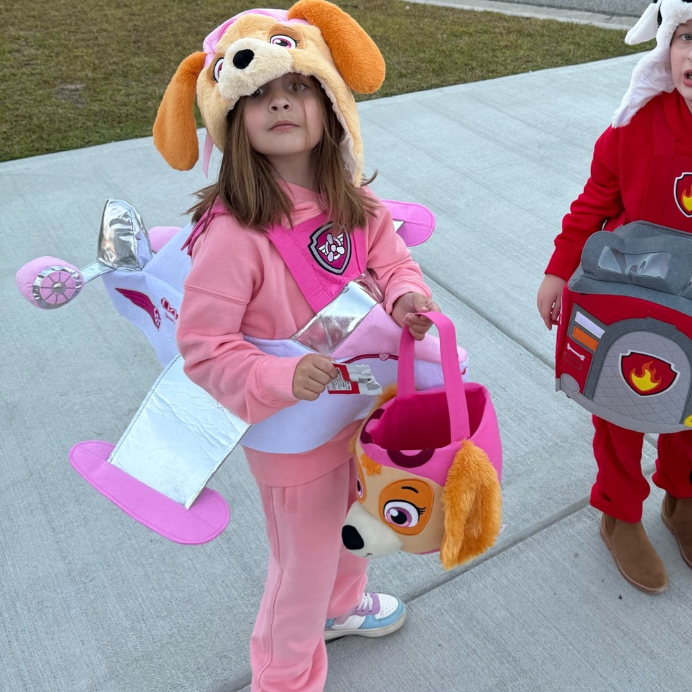Pottery Barn Paw Patrol Skye Costume 4-6Y
